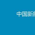 2017年中國新能源汽車行業(yè)年度報告